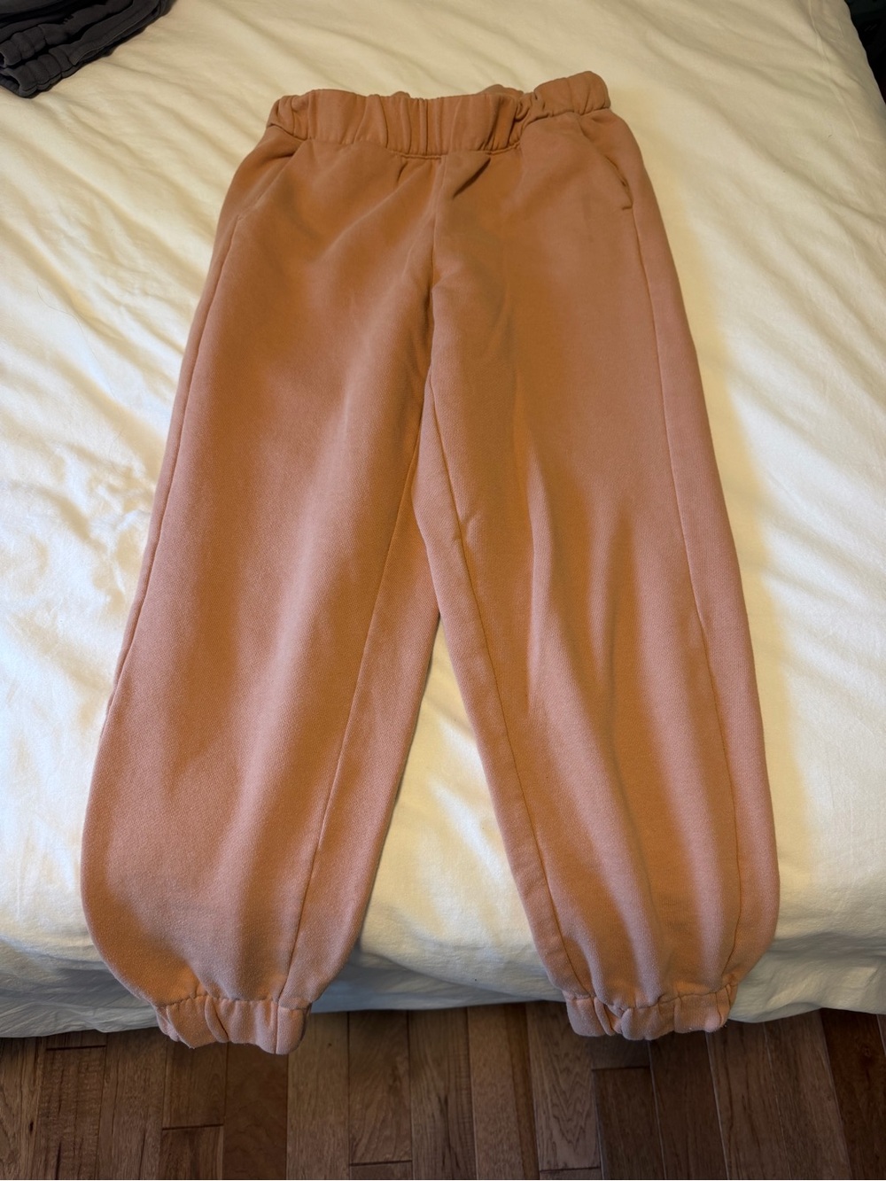 Plush Jogger Pants in Dusty Rose - Brand Unknown